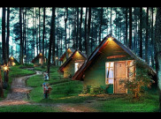 Wisata Hutan Pinus ala-ala Putri Salju di Bandung