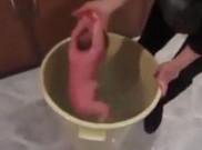 Tega, Bayi Baru Lahir Disiksa dengan Cara Mengerikan