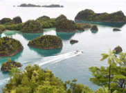 Pesona Alam Spektakuler di Piaynemo Raja Ampat 