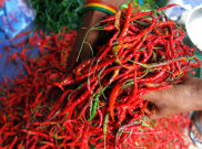 Dampak Perpres, Harga Supermarket dan Pasar Tradisional Tetap Berbeda