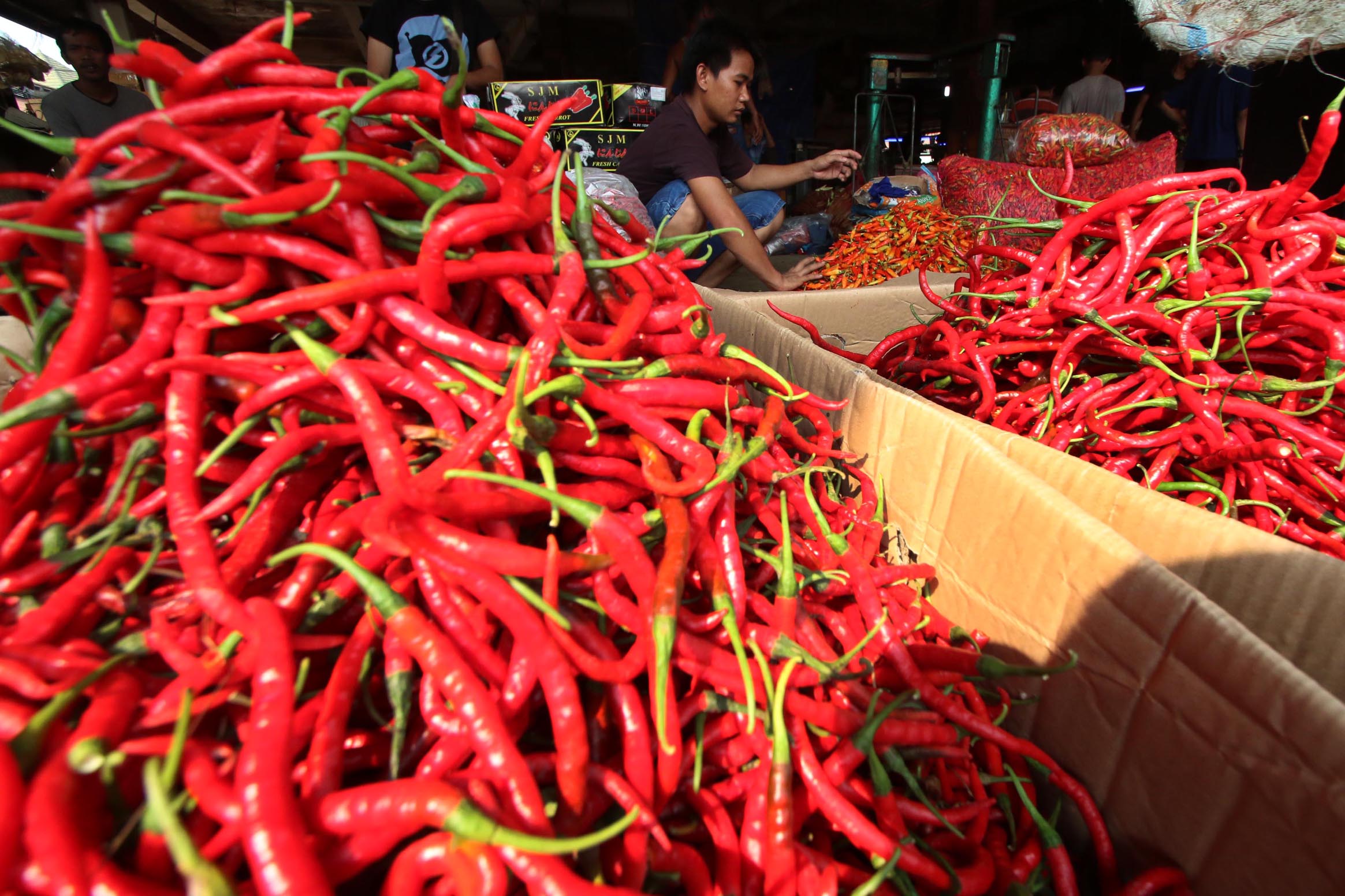 Harga Cabai Naik, Pedagang Nasi Goreng Curhat Tidak Bisa Berjualan 