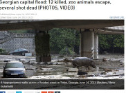 Dilanda Banjir, Binatang Buas di Georgia Lepas