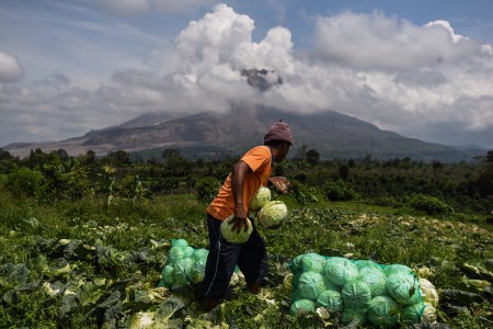 Jumlah Petani Menurun, Beralih Menjadi Buruh Kasar
