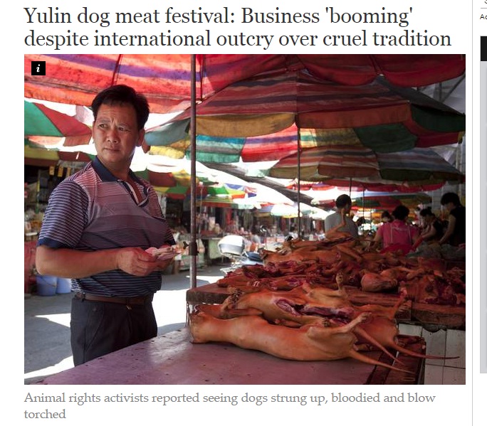 Yulin, Festival Makan Daging Anjing di Tiongkok
