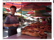 Yulin, Festival Makan Daging Anjing di Tiongkok