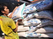 BPS Belum Tahu Tujuan Pemerintah Impor 1 Juta Ton Beras dari Pakistan