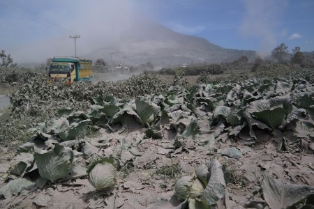 Terus Keluarkan Awan Panas, Status Gunung Sinabung Masih Awas