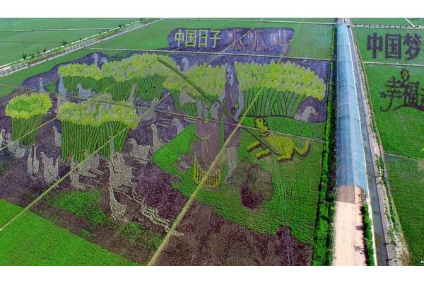 Seni 3D Petani Tiongkok