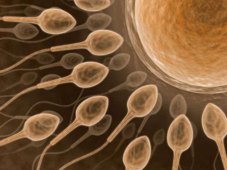 Ini Mengapa Pria Harus Menyimpan Sperma Mereka