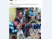 Sadis, Seekor Harimau Dibunuh dan Dijadikan Mainan