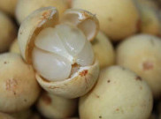 Manfaat Buah Duku Selama Berpuasa