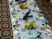 45 Anggota ISIS Tewas Usai Menyantap Makanan Buka Puasa Beracun