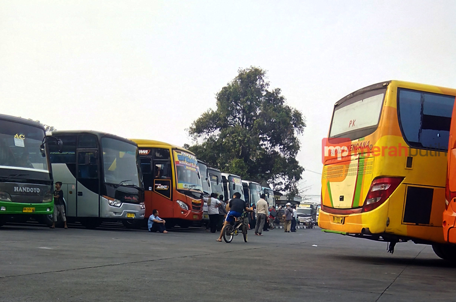 Operator Bus Pulo Gadung Mengeluh Terkait Maraknya Terminal Bayangan
