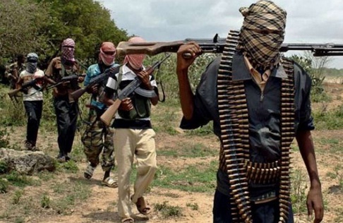Boko Haram Bunuh 26 Orang Pada Serangan di Chad