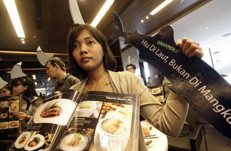 Greenpeace Indonesia Aksi Tolak Hiu di Restoran