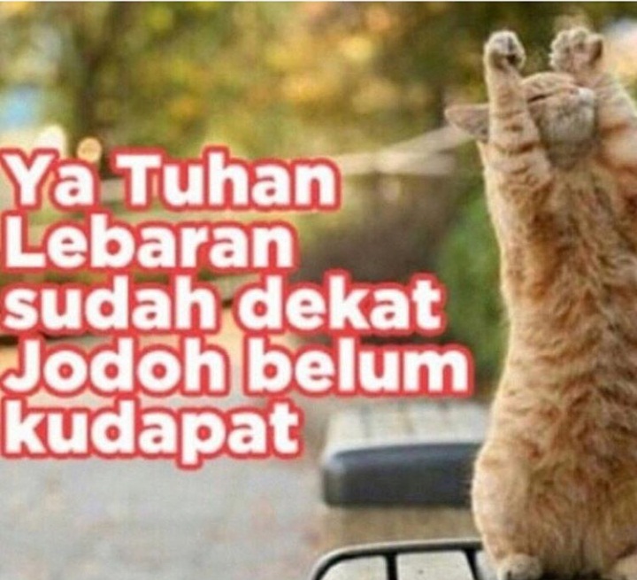 Meme Kocak Lebaran Part II