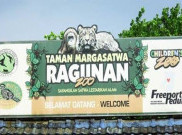 Kebun Binatang Ragunan Koleksi 100 Lebih Binatang Impor