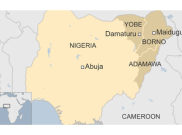 Nigeria Diguncang Bom Bunuh Diri