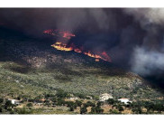 Yunani Dilanda Kebakaran Hutan