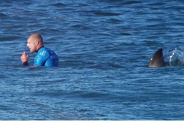 Tanggapan Sang Ibu saat Melihat Peselancar Mick Fanning Diserang Hiu