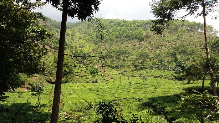 Pesona Keindahan Kaki Gunung Lawu