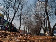 El Nino Berdampak terhadap Ketahanan Pangan