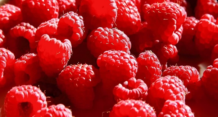 Meksiko Temukan Kokain dalam Buah Red Berry Impor Asal Kolumbia