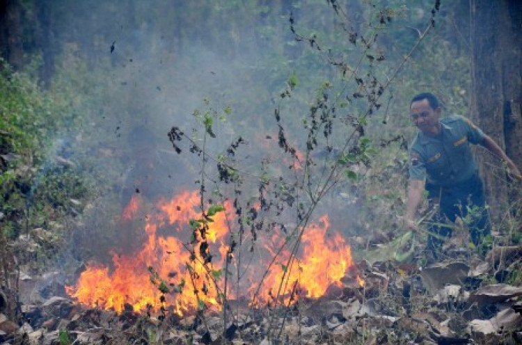 Kebakaran Hutan di Indonesia 