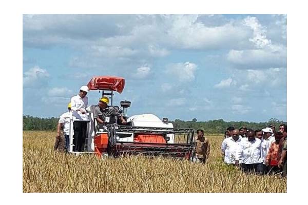Di Sukoharjo Jokowi Berharap Panen Besar lewat Pupuk Beka dan Pomi