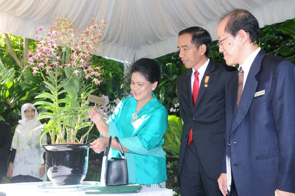 Singapura Namai Anggreknya “Dendrobium Iriana Jokowi”