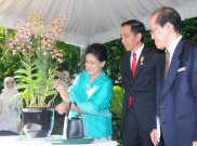 Singapura Namai Anggreknya “Dendrobium Iriana Jokowi”