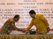 Perppu Calon Tunggal Rawan Digugat