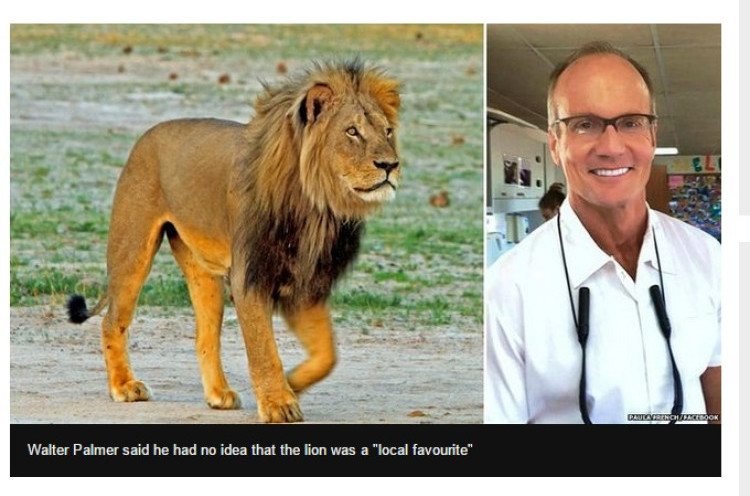 Dokter Gigi Dikecam Karena Bunuh Singa