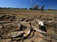 Tahun 2040, Indonesia Diperkirakan Krisis Air seperti Afrika