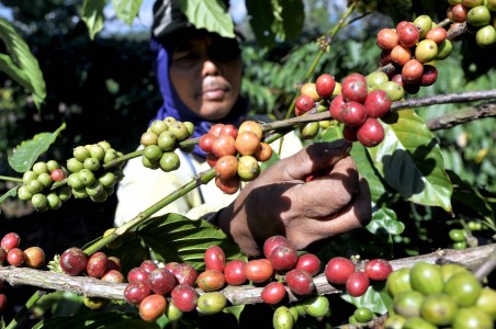 Eksportir Kopi Incar Afrika Sebagai Pasar Baru