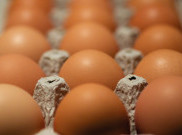 3 Manfaat Putih Telur Bagi Kesehatan