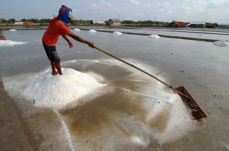 Kemendag: Demo Petani Garam Salah Alamat