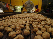 Harga Daging Sapi Mahal, Pedagang Bakso Pilih Pulang Kampung