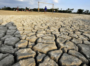 Pengamat: Pemerintah Tidak Serius Tangani Dampak El Nino