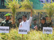 KNPI Dukung Kementan Percepat Swasembada Pangan 