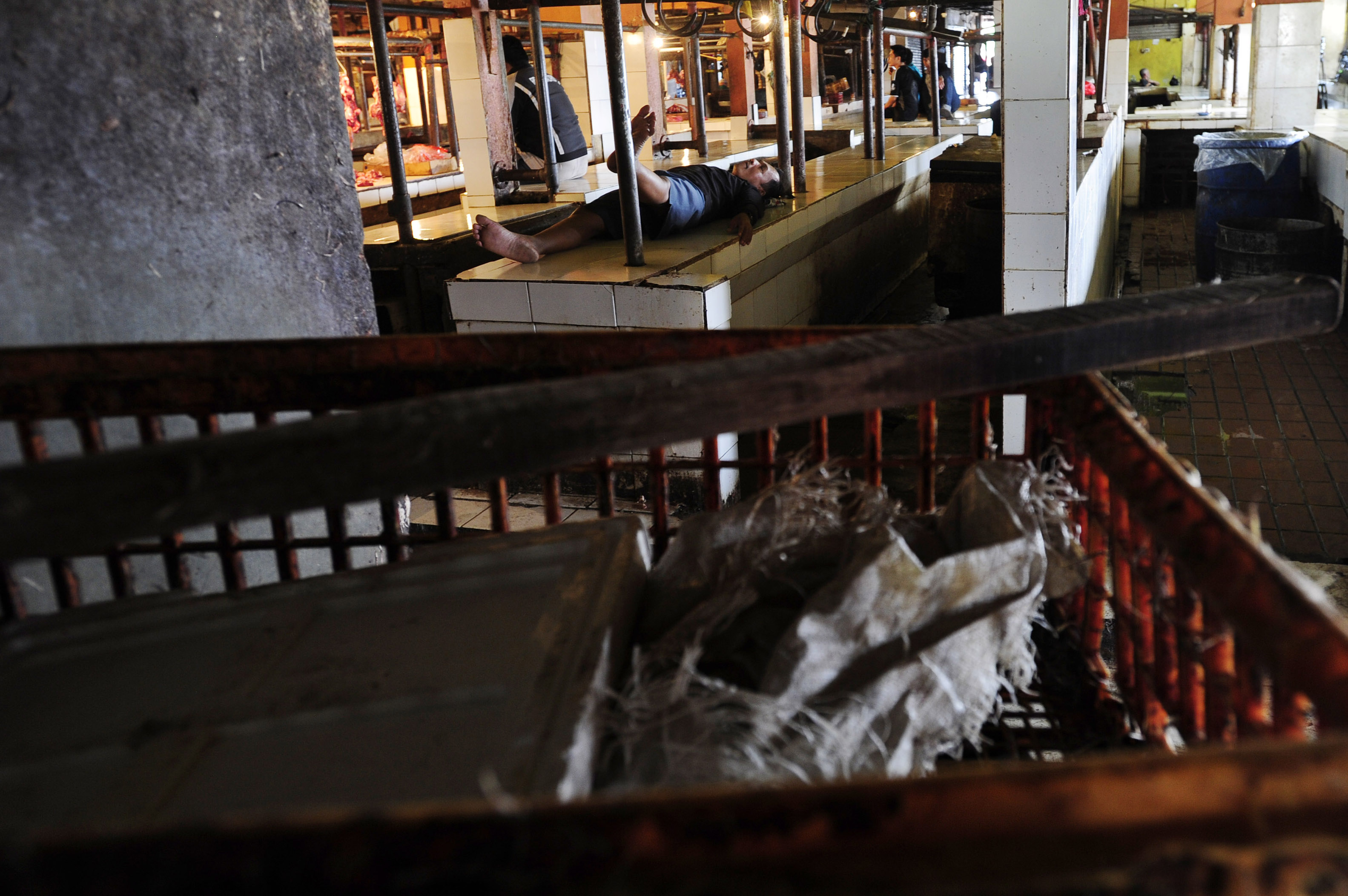 Kemendag Sebut Pedagang Ayam Tidak Mogok Tapi untuk Stabilkan Harga
