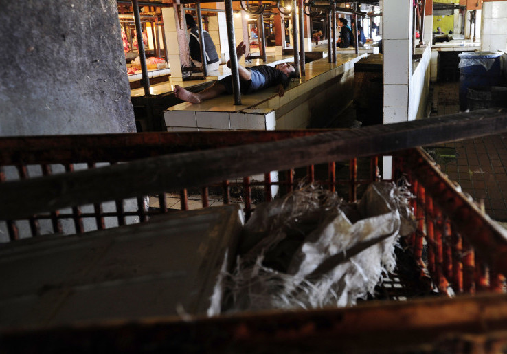 Kemendag Sebut Pedagang Ayam Tidak Mogok Tapi untuk Stabilkan Harga