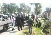 Netizen Tertawakan Moge Tabrak Pohon