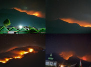Kebakaran Gunung Merbabu