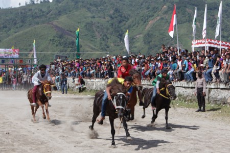 Pacuan Kuda Tradisional Gayo