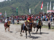 Pacuan Kuda Tradisional Gayo