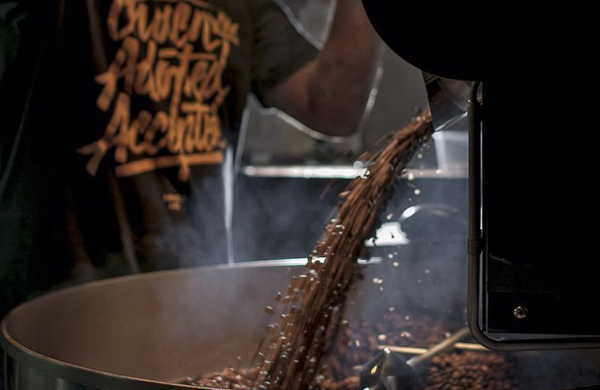 Ragam Biji Kopi Nusantara