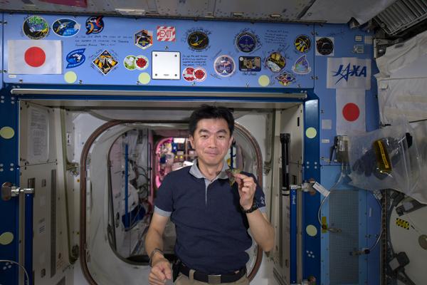 Astronot Jepang Terpesona dengan Indonesia dari Luar Angkasa