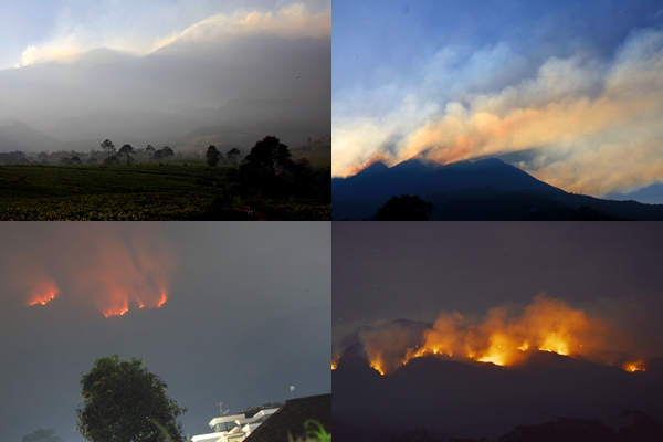 Kebakaran Gunung Lawu Belum Padam