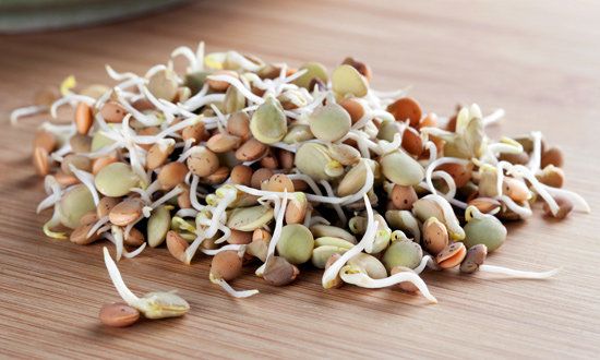 4 Manfaat Luar Biasa Kecambah Bagi Kesehatan